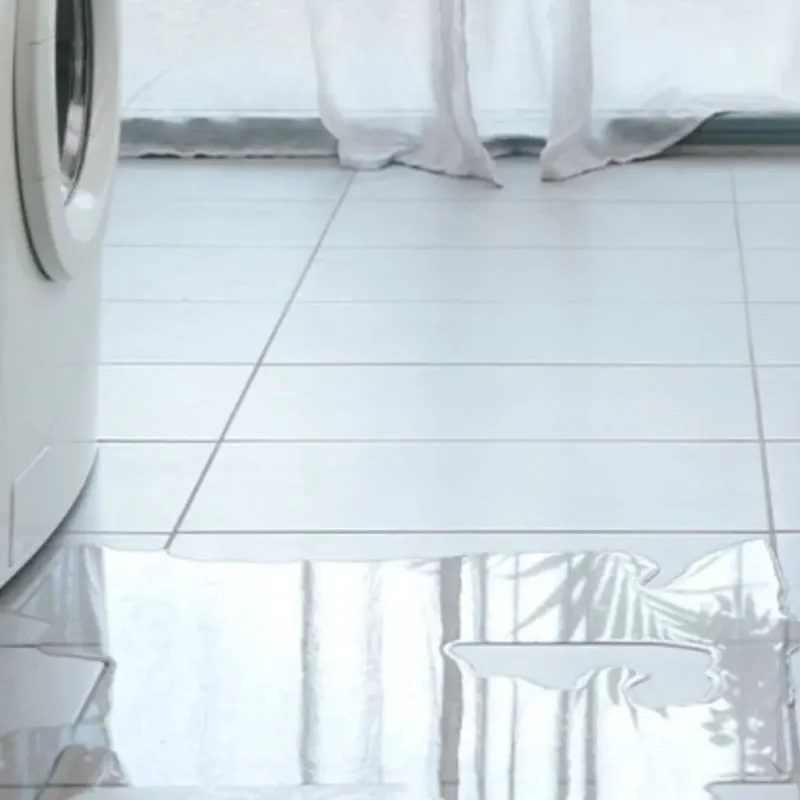 Appliance Leak Cleanup in Agua Dulce, TX