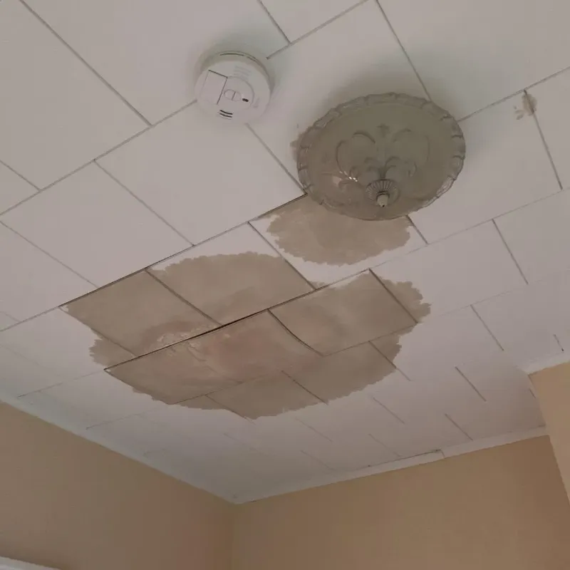 Ceiling Water Damage Repair in Agua Dulce, TX